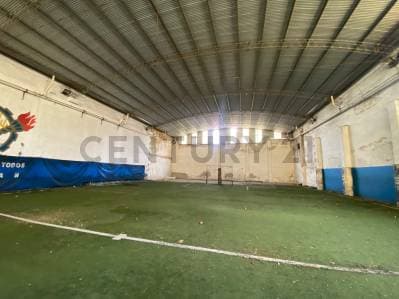 Galpon en Alquiler La Plata- calle 63 8 y 9 - 4