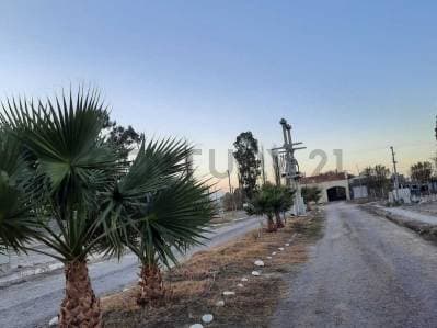 VENTA TERRENO EN SANTA LUCIA - 3
