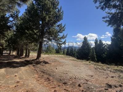 VENTA TERRENO SAN MARTIN DE LOS ANDES , SOBRE RUTA 40. GALPON APROBADO 40O M2 - 5