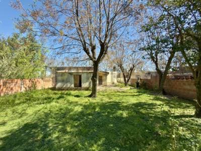 Lote 565 m² con 2 locales y 2 viviendas – Frente a Plaza Principal, Luis Palacios - 3