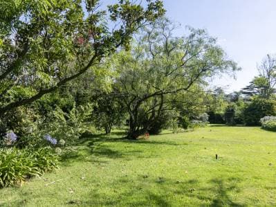 Lotes en Venta Villa Elisa - Principal
