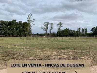 Venta Lote en Fincas de Duggan - Principal