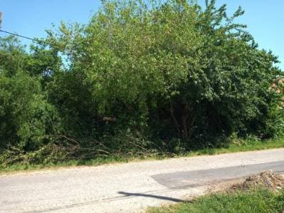 57 E/ 13 Y 14, VILLA ELISA - LOTE DE 11 x 44 M. - 4