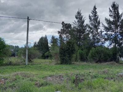 EXCELENTE TERRENO VENTA CORONEL BRANSEN - 5