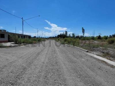 VENTA DE LOTE EN RIVADAVIA, MENDOZA. - 3