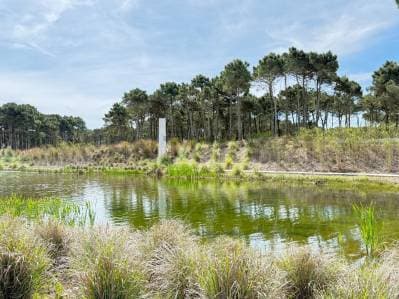 Terreno en Bosques, Pinamar - 3