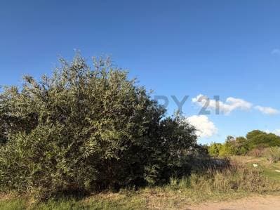LOTE EN EXCLUSIVIDAD CERCA DEL MAR EN COSTA ESMERALDA RESIDENCIAL 2 - 4