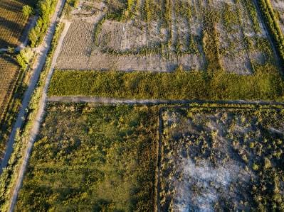 CAMPO AGRÍCOLA 10 HA – COLONIA FISCAL, SARMIENTO - 2