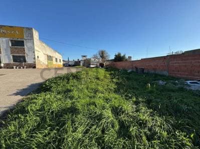 LOTE DE 10x50 CON GALPON EN RUTA 228 - 4