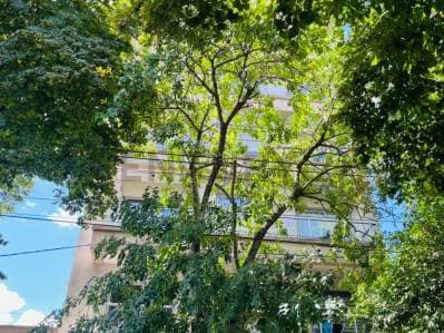 Venta Departamento. Un Dormitorio mas escritorio (2do dormitorio) y Cochera cubierta. Calle 11 62 y - 2