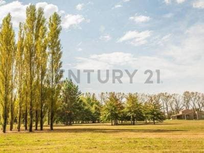 LOTE EN VENTA EN BARRIO VILLA MARIA - SECTOR ARROYITO - 3