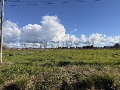 Lote en venta Zona Don Carlos, 135 esq 510 - Principal