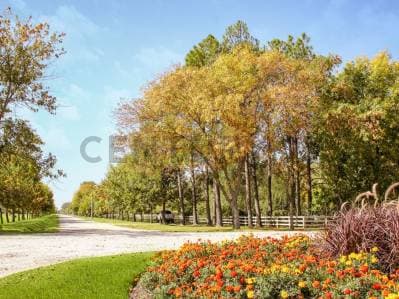 Lote en venta en Fincas Joven - Corredor Canning, San Vicente - 5