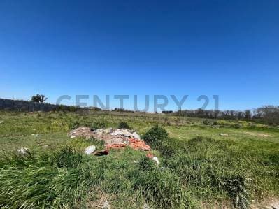 VENTA - PEREZ - 3 HECTAREAS - Ubicación Estratégica y Gran Potencial - 4