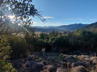 LOTE EN VENTA - SAN MARTIN DE LOS ANDES - 2