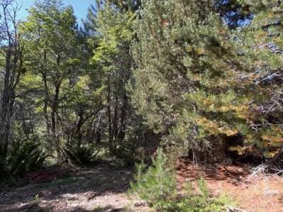 VENTA LOTE PIEDRA DE SAN FRANCISCO. RUTA 40. CAMINO 7 LAGOS - 4