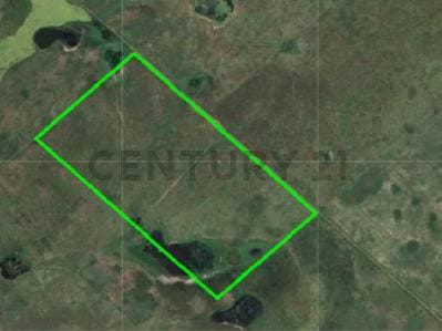 Campo ganadero de 90 hectáreas en Recalde, Olavarría - 4