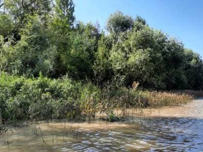 Lote Terreno en Canal del Este - 21m Frente - Escritura Inmediata - 4