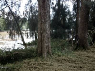 LOTE DE 30000 M2EN VENTA RIO LUJAN Y CANAL ARIAS - 4