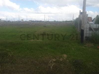 Terreno en venta Los Talas - Berisso - 5