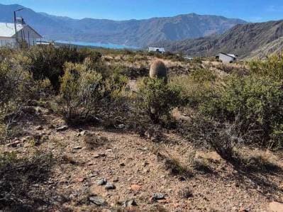 VENTA DE LOTE EN POTRERILLOS MENDOZA - 5