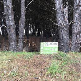 VENDEMOS LOTES DE TERRENO DE 20x30 y 20x40 mts. FRENTE AL GO - Principal