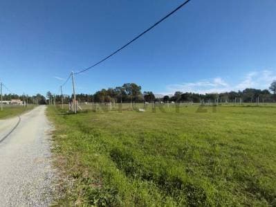 TERRENO EN VENTA EN SICARDI - 4