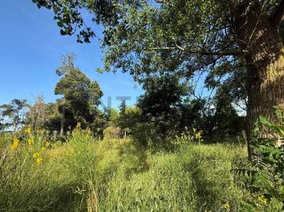 Venta de 2 lotes unificado en Zona Cabo Corrientes, Mar del Plata. - 4