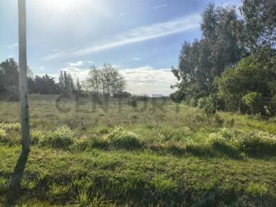 LOTES EN VENTA SAMBOROMBON BRANDSEN - 5