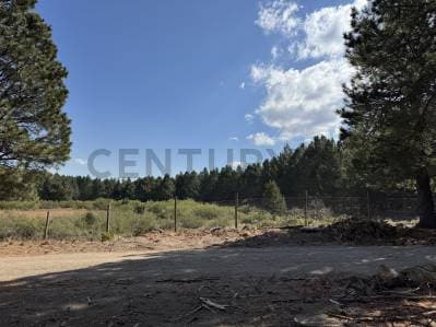 VENTA TERRENO SAN MARTIN DE LOS ANDES. CHAPELCO GOLF - 5
