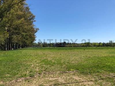 LOTE EN VENTA EN CAMPOS DE ROCA - 5