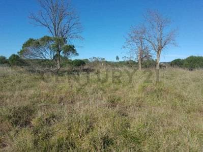 3.5 HECTAREAS ZONA BATAN ID 68284 - 5