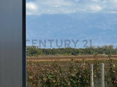 Century 21 vende casa en pozo en Barrio privado Tupungato Valley, Valle de Uco, Mendoza - 4