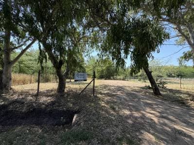 Lotes en Arana , 646 20 y 22 a metros del asfalto - 4