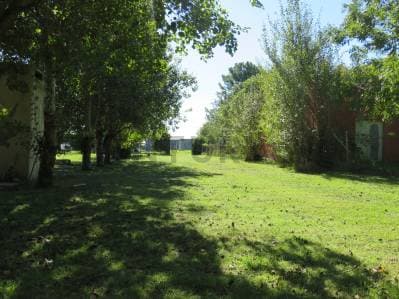 VENTA QUINTA 3 AMB/PILETA/QUINCHO GRAN PARQUE / BARRIO SEMICERRADO LOS OMBUES F.VARELA - 3