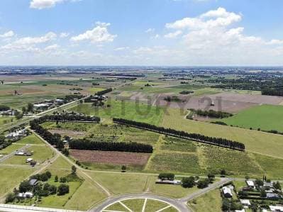 Venta de Lotes en Ecolagos Este | General Lagos - 4