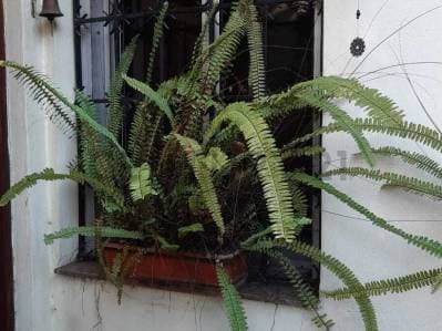 Venta Ph Tipo Casa 3 dorm cochera Villa Sarmiento - 2
