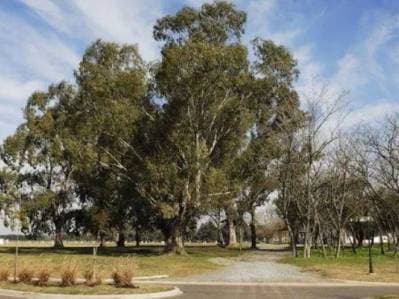 LOTE EN VENTA DE 1000 MTS EN BARRIO SANTA INES - CANNING FINANCIA - 3