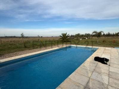 VENTA CHACRA DE 5 HA EN CAÑUELAS , CON VIVIENDA, QUINCHO Y PISCINA - 2