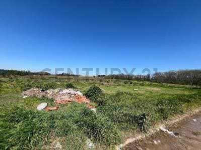 VENTA - PEREZ - 3 HECTAREAS - Ubicación Estratégica y Gran Potencial - 5
