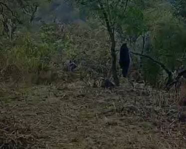 Lote 469 M2 en TERRAZAS DE RIO CEBALLOS - 3