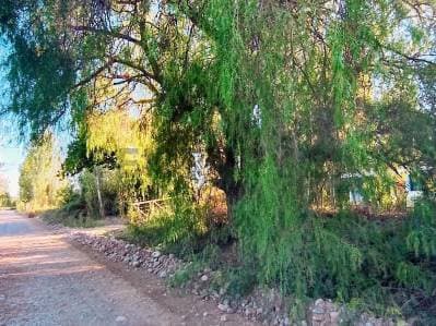 Century 21 López vende terreno en Maipú - 5