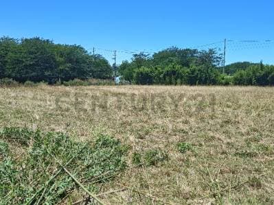 VENTA LOTE VIRREY DEL PINO - Principal