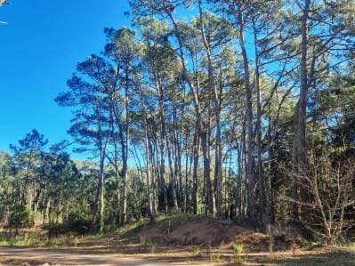 Terreno en Cariló - Principal