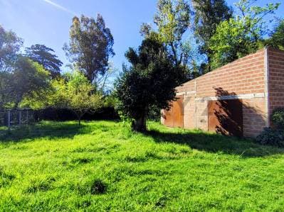 Lote con Galpon en venta Domselaar - 2