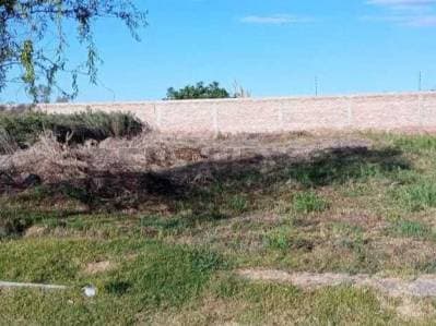 Venta lote Barrio Las Palmeras - 4