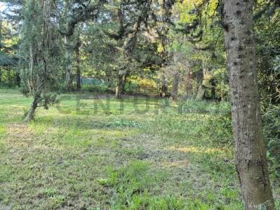 LOTE BARRIO EL RINCÓN - DIAG. 430 ENTRE 134 Y 135 - 4