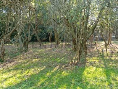 Venta de Lote en Villa Elisa - Principal