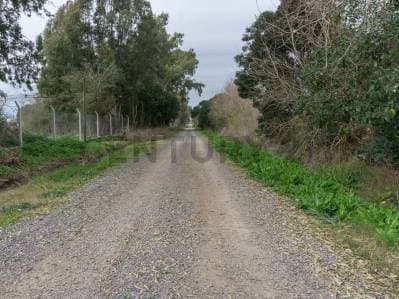 Lote en venta Fincas de Arana en 96 y 159 - 5