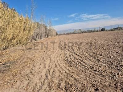 Venta de Finca en Lavalle, Tres de Mayo, sobre Ruta 36 entre Calle Rama 5 y Rama 6 - 4